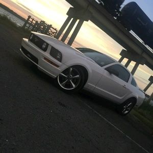 Meet your Posher, Hayden